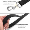 PenSeepet Basic Dog Leashes 6 FT Padded Handle Nylon Dogs