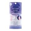 EB (Eternal Basic) Setting Shine Top Coat EBL-201 (9.5mL)