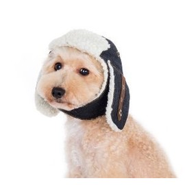 DOGO DESIGN Trapper Hat for Dogs (XS)