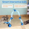 Smart Interactive Cat Toys for Indoor,Automatic Rolling Pet Ball,Teasing Hunting