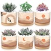 Qinyoung 6 Sets Boho Plant Pots Succulent Pot Modern Sun