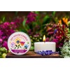 Pet House Mini Candles for Pet Odor Made with Natural