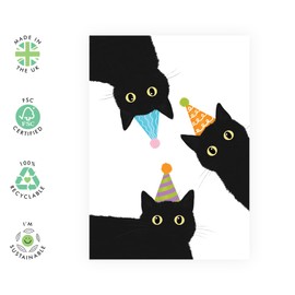 Cute Birthday Card for Her Him – Black Cats in Party Hats – Cute Greeting Card for Cat Lovers, Friends, Family, Niece, Nephew, Sister, Brother, In-Law, Men, Women– Comes with Envelope and Stickers