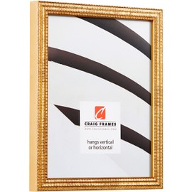 Craig Frames Farnsworth, 8 x 10 Inch Picture Frame Matted to Display a 5 x 7 Inch Photo, Gold