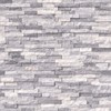 MSI Alaskan Gray Splitface Tile, 12 in. x 12 in.,Gray,