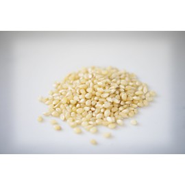 Amish Country Popcorn | 25 lb Bag | Baby White Popcorn Kernels | Small and Tender | Old Fashioned, Non-GMO and Gluten Free (Baby White - 25 lb Bag)