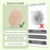 Esponja Exfoliante Corporal de Lufa Natural Ovalada para Ducha (1