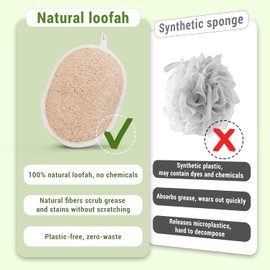 Esponja Exfoliante Corporal de Lufa Natural Ovalada para Ducha (1 Unidad)
