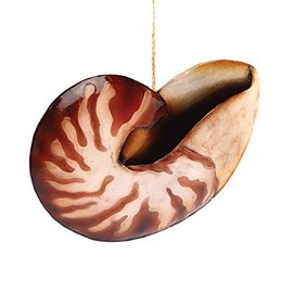 GALLERIE II Tortoiseshell Nautilus Shell Christmas Xmas Ornament Multi