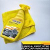 Formula 1 Bug and Tar Remover - Powerful Exterior Degreaser