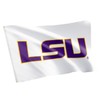Desert Cactus LSU Flag Tigers Geaux Louisiana State University Flag