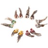 12Pcs Simulation Foam Bird Artificial Bird Decor with Clip Fixing