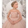 Chyrbaby Girls Pageant Dress-Applique Flower Girl Dresses First Communion Dress