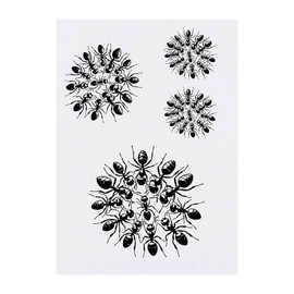 4 x 'Floating Ant Raft' Temporary Tattoos - Water Resistant, Skin-Safe, Non-Toxic Transfers, Mixed Sizes (TO00084968)
