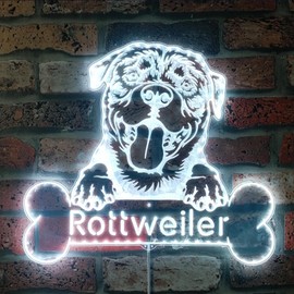 ADVPRO Name Personalize Rottweiler RGB Dynamic Glam LED Sign Cut Shape Intelligent 3D Wall Decoration Multicolor Dynamic Lighting St06s22-fnd-p0076-tm