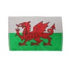Patriot Velour Golf Towel - Wales
