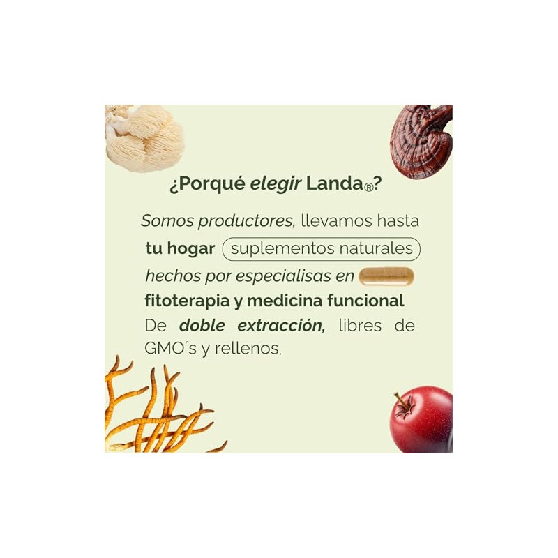 LANDA Extracto Liquido de Hongo Melena de León 30 ml