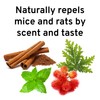 Victor M809 Mouse and Rat Repellent Natural Non-Toxic Spray for