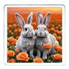 Rabbit Coaster Set. 4 different Bunny Pictures on 10cm x