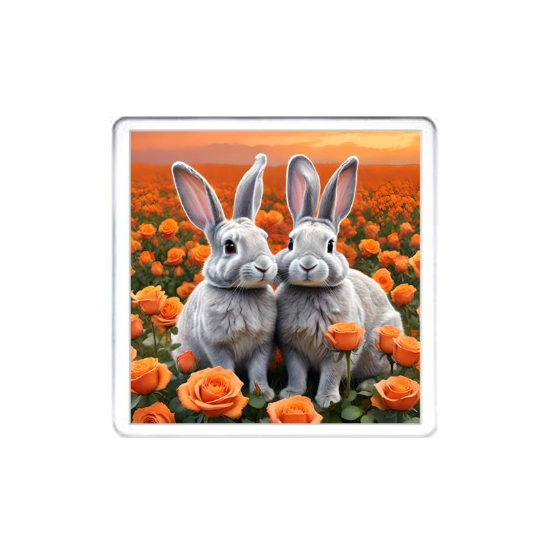 Rabbit Coaster Set. 4 different Bunny Pictures on 10cm x