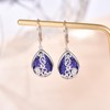 Teardrop Hook Earrings Birthstone Hook Earring for Women Fashion 925