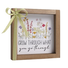 pechpell Motivational Office Desk Decor, 6×6 Inch Grow Through What You Go Through Inspirational Quotes Sign Gift for Women, Rustic Wood Framed Wall Art for Home Cubicle Table Shelf Accessories Indoor