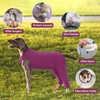 MHaustlie Dog Recovery Cover for Hind Legs, Breathable Dog Surgery
