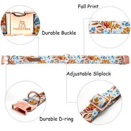 Lionheart glory Premium Dog Collars Fall Dog Collar, Heavy Duty Adjustable Dog Collar for Medium Dogs Maple Leaf Dog Collar