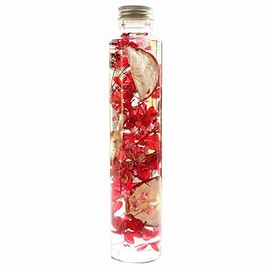 Hortus siccus Red Colors Series 紫陽花 Apples Gypsophila Herbarium