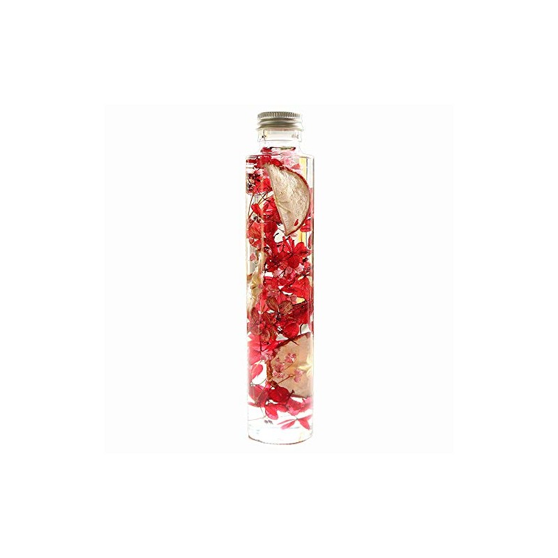 Hortus siccus Red Colors Series 紫陽花 Apples Gypsophila Herbarium