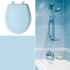 Bemis Classic Colors Slow Close Toilet Seat, Easy Clean Hinges