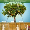 Walensee 23FT Fruit Picker, Adjustable Fruits Picker Tool with Fiberglass