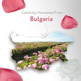 HBNO Agua De Rosas Orgánica Embotellada De California Para El Rostro Y Cabello, Tamaño Generoso De 480 Ml (16 Oz Líq.) - Certificada Por El USDA -... 