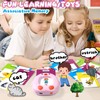 Talking Flash Card Toy for Kids with 224 Sight Words