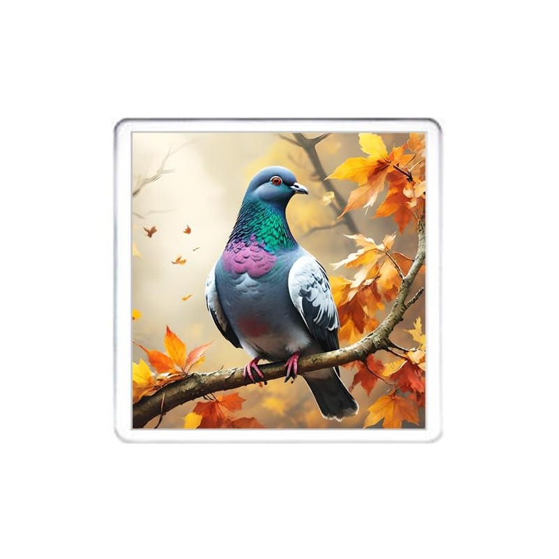 Pigeon Coaster Set. 4 different Pigeon Pictures on 10cm x