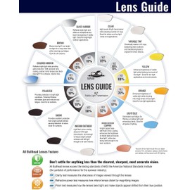 Bullhead Safety Eyewear BH61712 Safety Glass, Stinger, One Size, Dark Gray Frame/Temples/Polarized Smoke Lens