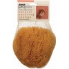 ProPlus Natural Painting Sponge Medium Texture, Small, No Size, Brown