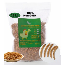 Euchirus Non-GMO High-Protein Large Dried Mealworms for Chickens, Natural Grubs and Poultry Treats as Chicken Feed,Duck Food, Wild Birds Seed,Fish Food,Reptile food,Amphibian Food(Mealworms-22LB)