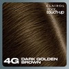 Clairol Root Touch-Up Permanent Hair Dye, 4G Dark Golden Brown,