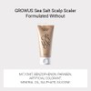 GROWUS [GROWUS]Sea Salt Therapy Scalp Scaler 120g