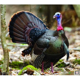 NiceTargets Turkey 20" x 22.5" Recyclable Plastic Weather Resistant Target TNTTurkey-M