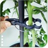 protanic Tomato Rod Plant Support Trellis with Plant Clips