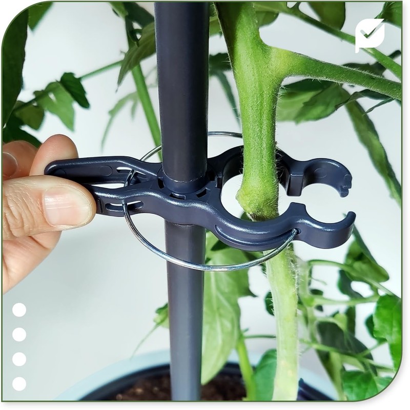 protanic Tomato Rod Plant Support Trellis with Plant Clips