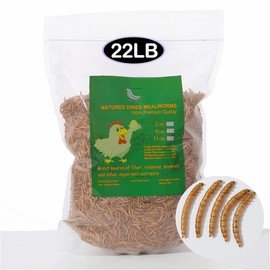 Euchirus 22LB Non-GMO Dried Mealworms for Wild Bird Chicken Fish,High-Protein,Lrage Meal Worms.