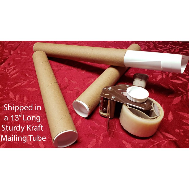 Laminated Mandolin Fretboard Notes & Easy Beginner Chord Chart 11"x17"