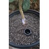VermisTerra HydroSpiral Tubes - Pair, 9" Length, 2” Diameter with