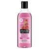 Alberto Balsam Sunkissed Raspberry Shampoo - 300ml - 24HR Fragrance