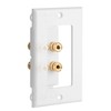 4 Posts Speaker Wall Plate Home Theater Wall Plate Audio