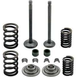 JINFANNIBI Intake & Exhaust Valve Seal Springs for Honda XL75 XL80S XL100S XR100 XR75 XR80