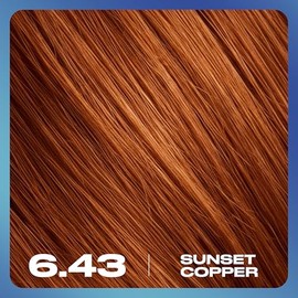 Clairol Nice N Easy Permanent Bold Zero Ammonia Hair Dye 6.43 Sunset Copper